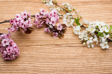 branch cherry blossoms on the table