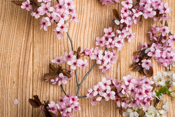 branch cherry blossoms on the table