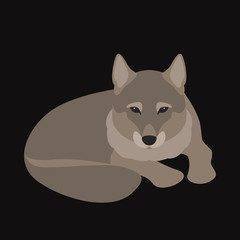 Fototapeta premium Wolf vector illustration style Flat side front