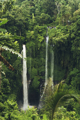 Fototapeta premium Sekumpul Waterfall in the jungle with clear water falling on stone cliffs and green trees all around, Bali, Indonesia