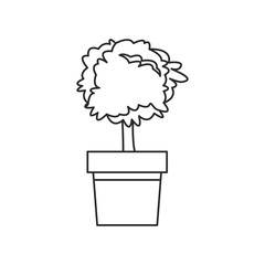 tree pot plant nature decoration outline vector illustration eps 10