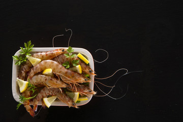 Crustaceans on black background
