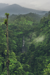 Sekumpul Waterfall in the jungle with clear water falling on stone cliffs and green trees all around, Bali, Indonesia