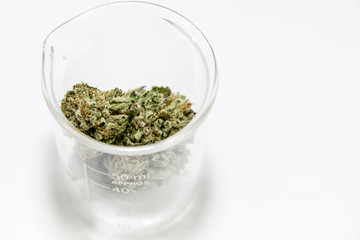 Science, Research, Technology and Cannabis -  The Increasingly Legal, Medical and Recreational Use of Marijuana