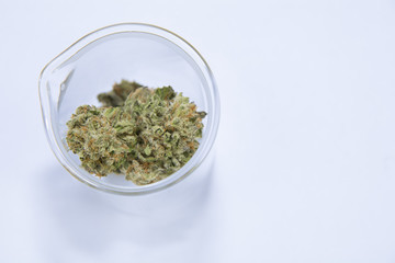 Science, Research, Technology and Cannabis -  The Increasingly Legal, Medical and Recreational Use of Marijuana