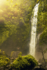 Man stay in front of beautiful waterfall and raise his hands to the sides. Freedom concept