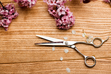 cherry blossoms branch and hairdressing scissors on the table