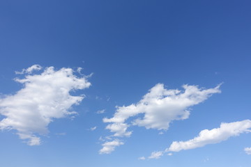 春の青空
