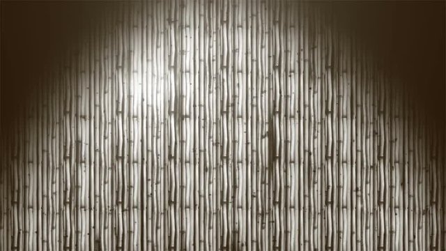 Grunge Sticks 5, Ultra HD, 3840x2160 Pixels, Seamlessly Looped Animation 

High Quality Quicktime animation Movie works with all Editing Programs, 

Simply Loop it for any duration
