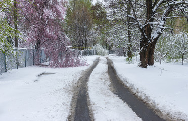 Spring landscape after snow storm in Dnepr city, Ukraine