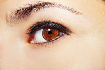 Obraz premium A beautiful insightful look woman's eye. Close up shot
