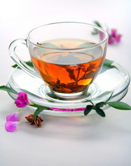Cup of black tea on white background.