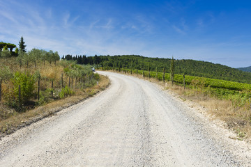 Fototapeta na wymiar Road between vineyards in Italy