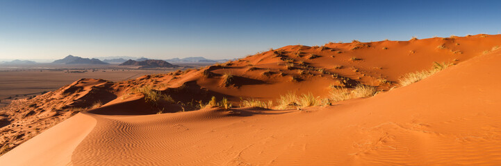 Fototapeta na wymiar Panorama of the Elim dune