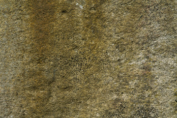 Brown granite wall