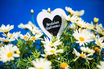 Herz mit Margeriten, Herzlichen Glückwunsch