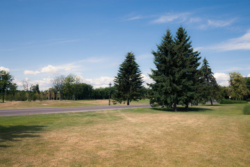 Fototapeta premium Ashalt road at modern city green park
