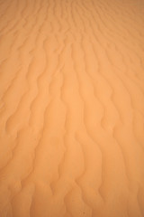 In der Sahara
