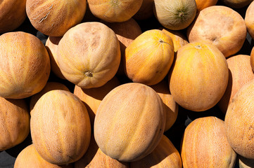 Melonen uaf dem Markt