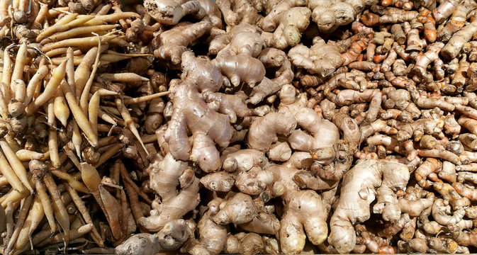 krachai ginger ,Galangal and krachai