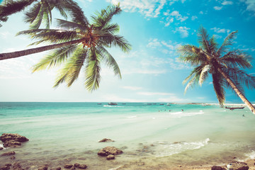 Vintage tropical beach (seascape) with palm tree in summer. Landscape of coast. vintage effect color tone.