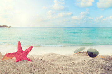 Sunglasses on sandy in seaside summer beach with starfish, shells, coral on sandbar and blur sea...