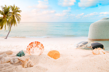 Fototapeta na wymiar Summer accessories on sandy in seaside summer beach with starfish, shells, coral on sandbar and blur sea background. Concept of recreation in summertime on tropical beach. vintage color tone styles.