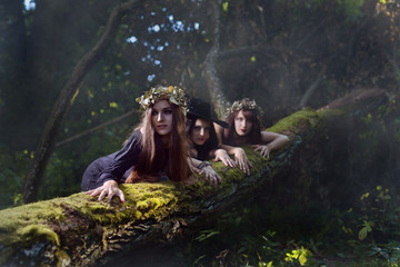 Witches in dark forest .