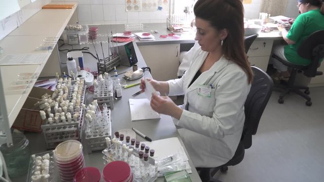 Laboratory technician separates results during analyzes bacteria from different samples, bacteriology analysis, crane shot to microbiology equipment, motion behind head, interior scene