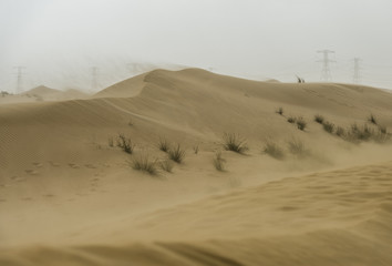 Fototapeta na wymiar The sandstorm is coming