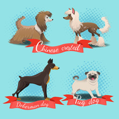 Cartoon different dog breed set. Chinese crested, chinese crested powder puff, pug dog, doberman dog.