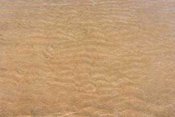 Fototapeta na wymiar sand on beach texture .