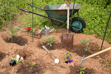 Gartenbepflanzung 