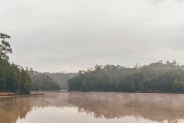 lake and pine forest on morning time.