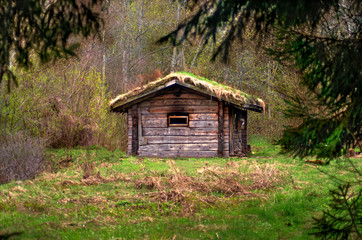 Wooden house with outdoor bath in forest