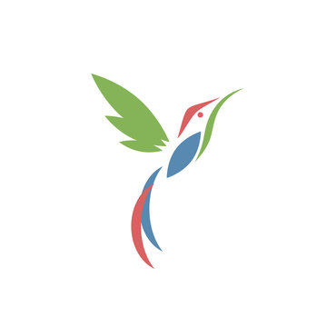Humming bird, colibri icon on white background.