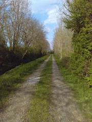 IMAG0346