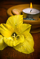 Wellness in old vintage style with a candle and a yellow gladiolus flower 