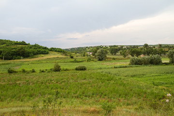 Landscape of Moldova, summer landscape
