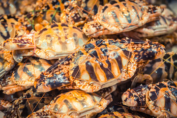 Row of crabs in the Asian wet market. Fresh crabs supermarket.