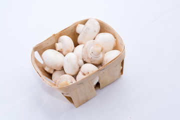 Fototapeta na wymiar Mushrooms, vegetable, yellow, salad, fresh, object, white, basket,Mushrooms, vegetable, yellow, salad, fresh, object, white, basket, food