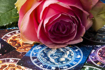 zodiac signs with pink rose like a concept for romantic astrology, love and relationship 