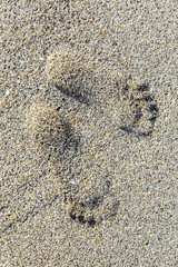 print of barefoot feet at the beach
