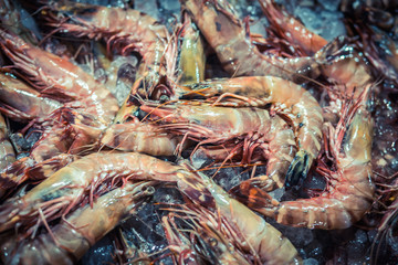 Fresh shrimp prawns with ice at the market for sell. Shrimps Top view.