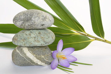 Empty white background with cairn zen stones, bamboo and purple crocus flower