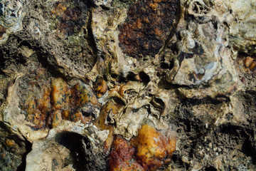Texture of sea stone with rust.