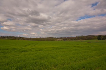 Feld und Wiesen im Frühling