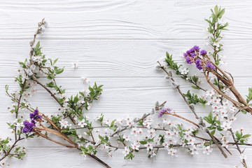 spring flower on white wooden background.mothers day.space for your text
