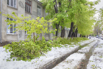 street after snowfall
