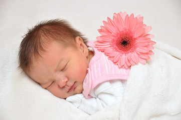 BlumenBaby
